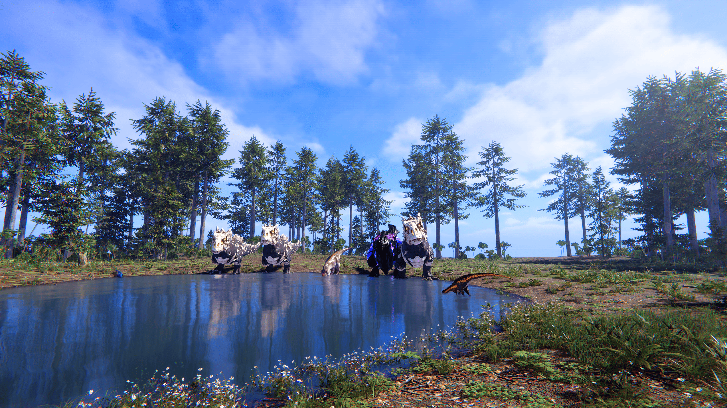 2026最新恐龙岛官网下载安装失败怎么解决？附常见问题解答